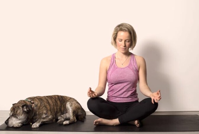 Yoga with your dog