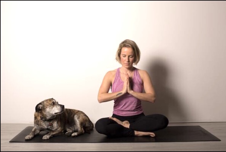 Breathwork & movement with your dog